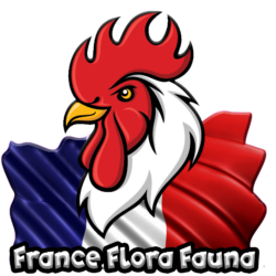 France Flora Fauna
